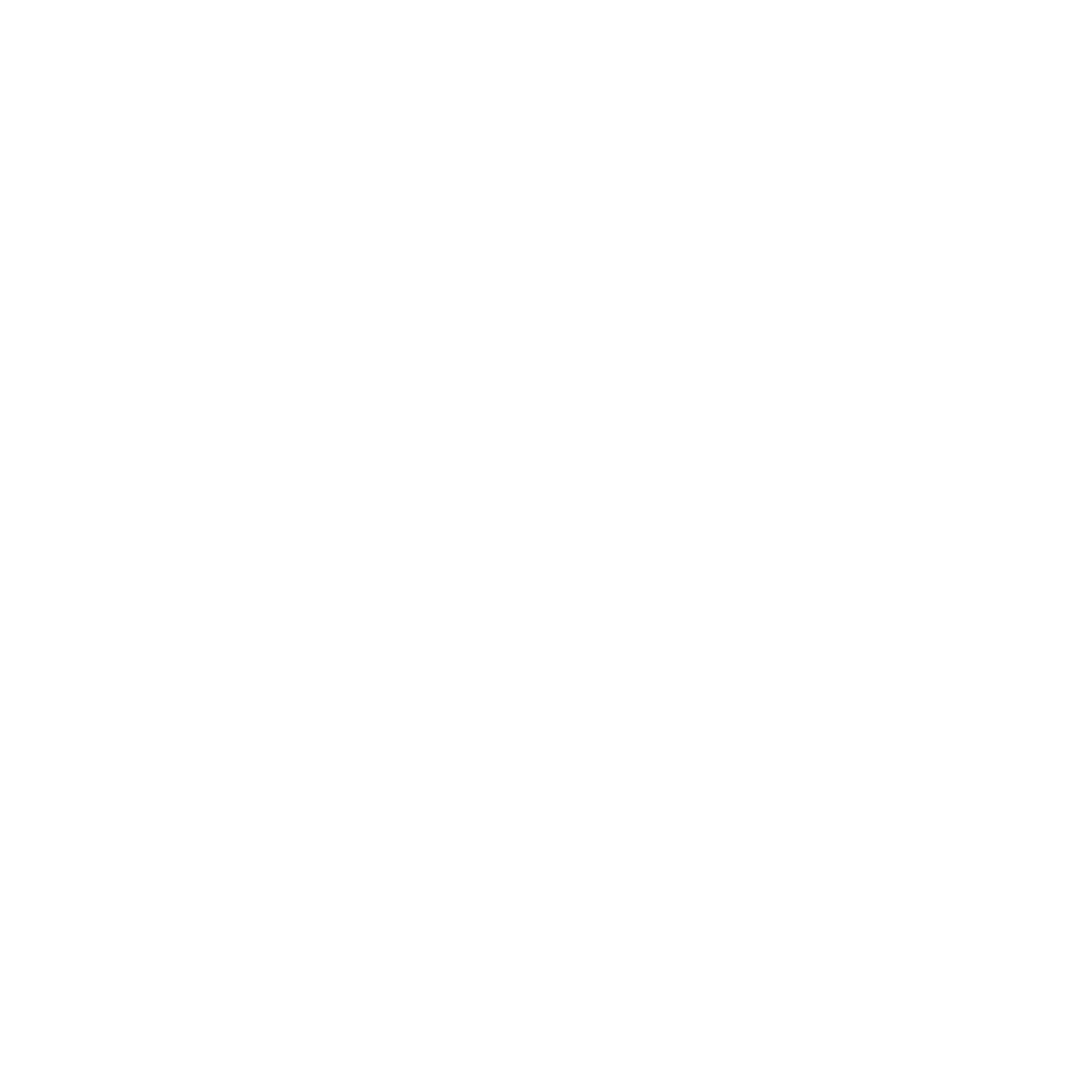 Walt Disney World Marathon