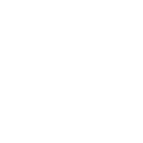 Walt Disney World Marathon